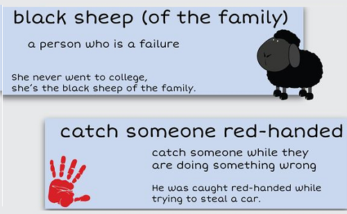 Black sheep; Red-handed